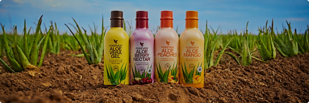 Línea Forever Aloe Vera Gel, Berry Nectar, Peaches y Mango sobre tierra con plantas de sábila